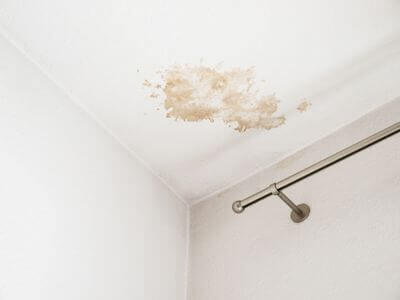 About Chesterfield Basement Mold Remediation - basement mold remediation experts in Chesterfield